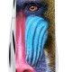 Складаний ніж Victorinox TINKER ANIMAL Мавпа Мандрил 1.4603.3.F1070pw