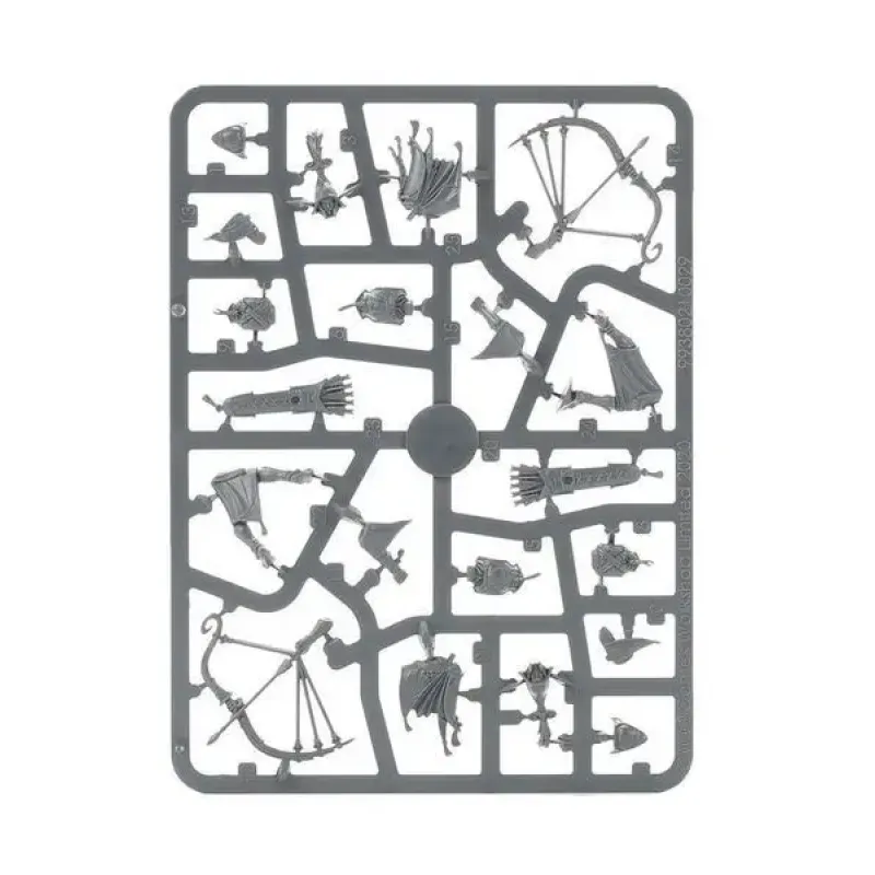 Набор миниатюр AGE OF SIGMAR: LUMINETH REALM-LORDS - VANARI AURALAN SENTINELS