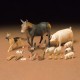 Збірна модель Tamiya – фігури тварин 1:35 Livestock 35128