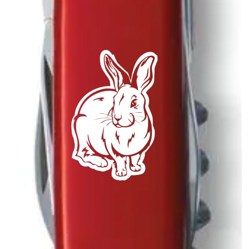 Швейцарский складной нож 91мм Victorinox SPARTAN ZODIAC 1.3603_Z2030u