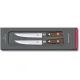 Набор кованых ножей для стейка (2 шт) Victorinox GRAND MAITRE Steak 7.7240.2W