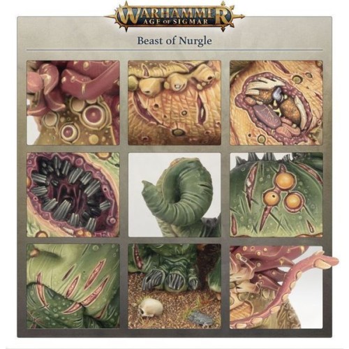Мініатюра AGE OF SIGMAR: MAGGOTKIN OF NURGLE - BEAST OF NURGLE
