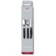 Столовий набір Victorinox SWISS CLASSIC Table Set 6.7192.F3