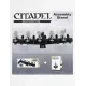 Інструмент CITADEL COLOUR SPRAY STICK