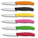 Набор ножей (2 шт) Victorinox SWISS CLASSIC Paring 6.7606.L115B