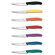 Ніж для стейка та піци Victorinox Swiss Classic 11см хвил помар 6.7239.C1