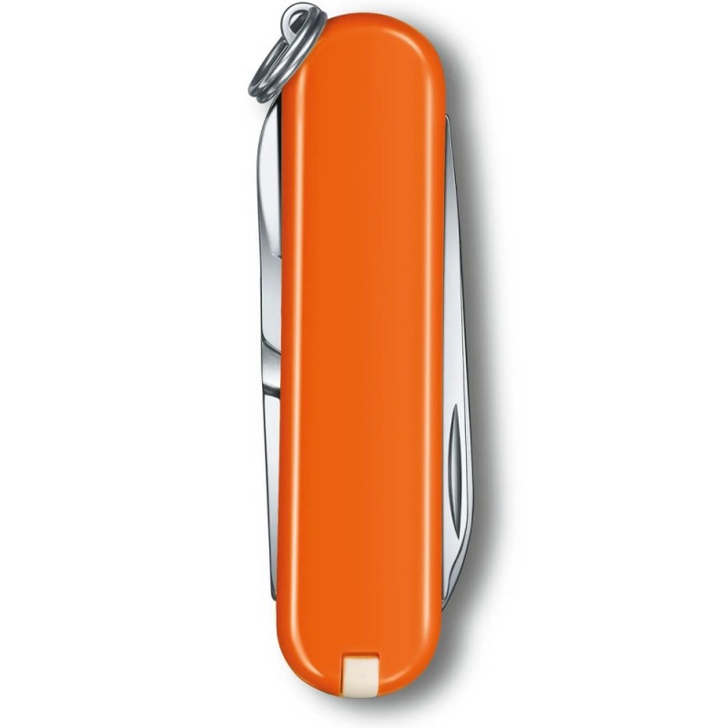 Швейцарский складной нож 58мм Victorinox CLASSIC SD Colors 0.6223.83G