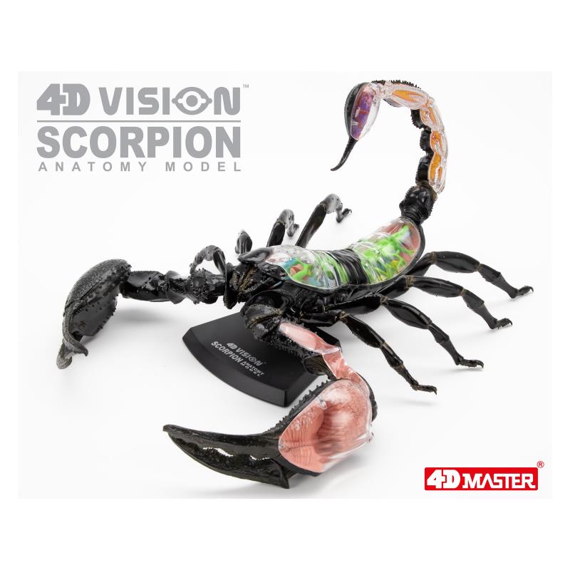 Об`ємна модель 4D Master Скорпіон