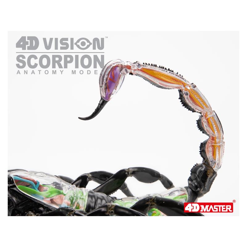Об`ємна модель 4D Master Скорпіон