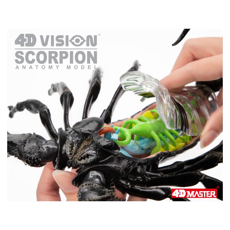 Об`ємна модель 4D Master Скорпіон