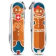 Складаний ніж Victorinox CLASSIC LE 0.6223.L1909