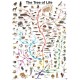 2D Пазли Пазл Eurographics Дерево життя, 1000 елементів