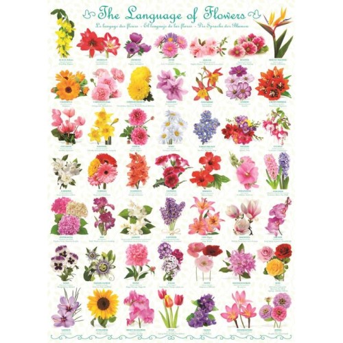 2D Пазли Пазл Eurographics Мова квітів, 1000 елементів