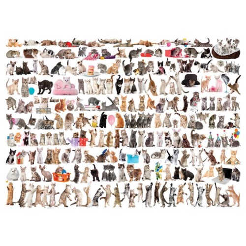 2D Пазли Пазл Eurographics Світ кішок, 1000 елементів