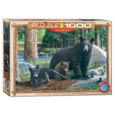 Пазл Eurographics Пізнаючи світ. Кевін Данієль, 1000 елементів