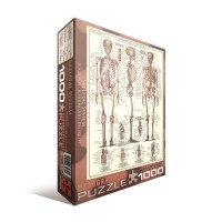 Пазл Eurographics Скелет людини, 1000 елементів
