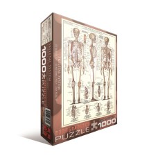Пазл Eurographics Скелет людини, 1000 елементів
