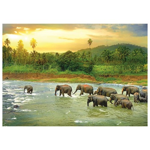 2D Пазли Пазл Eurographics Тропічний ліс. Серія Врятуємо нашу планету, 1000 елементів