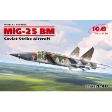 Сборная модель советского ударного самолета МиГ-25 БМ