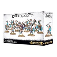 Набір мініатюр KAIRIC ACOLYTES