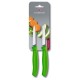 Набор ножей (2 шт) Victorinox SWISS CLASSIC Paring 6.7606.L114B