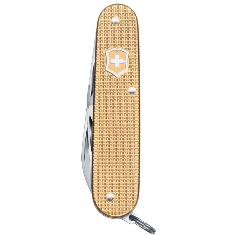 Складаний ніж Victorinox CADET Alox 0.2601.L19