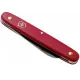 Складной нож садовода 100мм Victorinox Floral 3.9050.B1