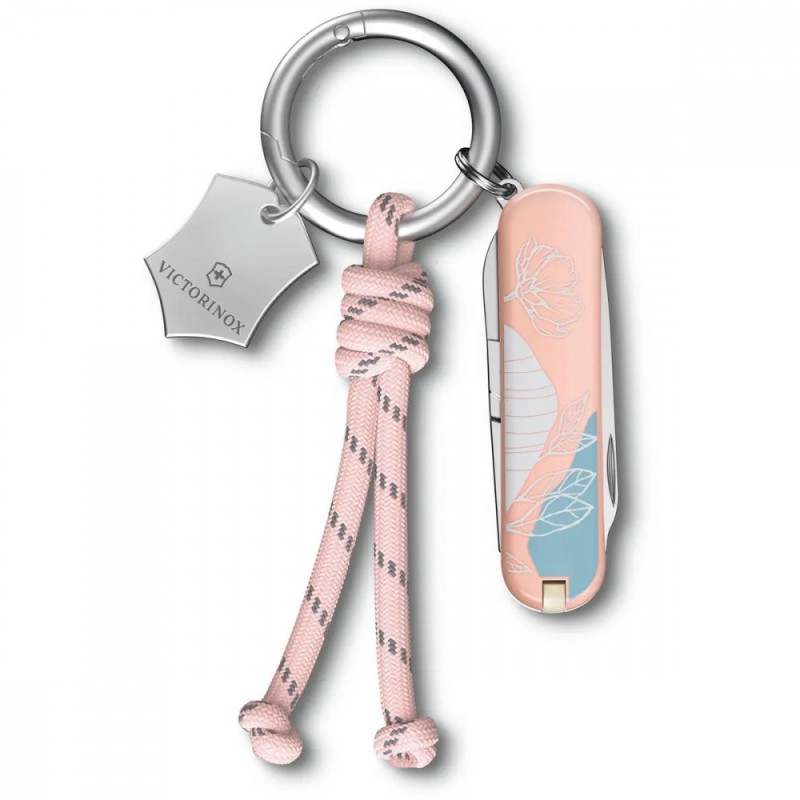 Швейцарский складной нож Victorinox CLASSIC SD Paris Style 0.6223.E221