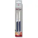 Набор ножей (2 шт) Victorinox SWISS MODERN Paring Set 6.9096.2L3