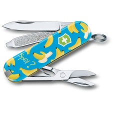 Складной нож Victorinox CLASSIC LE 0.6223.L1908