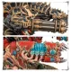 Мініатюра WARHAMMER 40000: CHAOS SPACE MARINES - FORGEFIEND