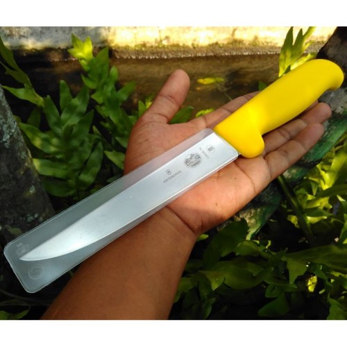 Обвалювальний ніж Victorinox FIBROX Boning 15см жовт 5.6008.15