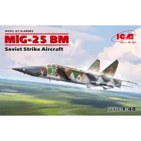Сборная модель советского ударного самолета МиГ-25 БМ