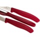Кухонний набір Victorinox SWISS CLASSIC Paring Set 6.7111.31
