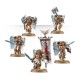 Space Marines Набор миниатюр SANGUINARY GUARD