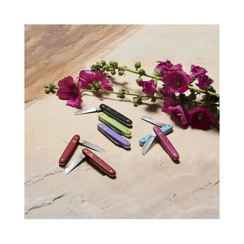 Складной нож садовода 100мм Victorinox Floral 3.9050