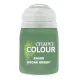 Фарба SHADE: KROAK GREEN (18ML) (6-PACK)