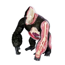 Об`ємна модель 4D Master Горила