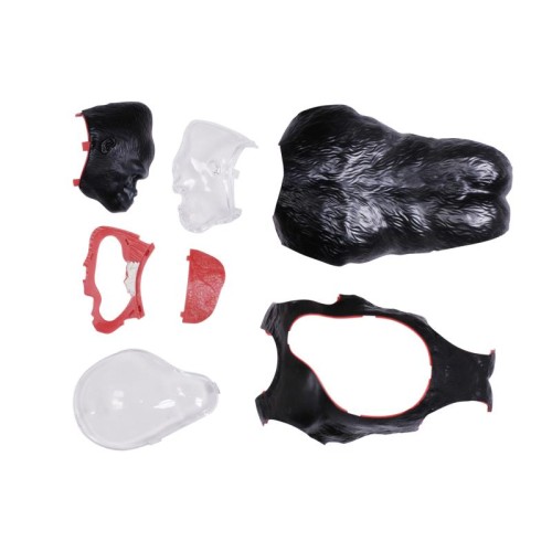 Об'ємні анатомічні моделі Об`ємна модель 4D Master Горила