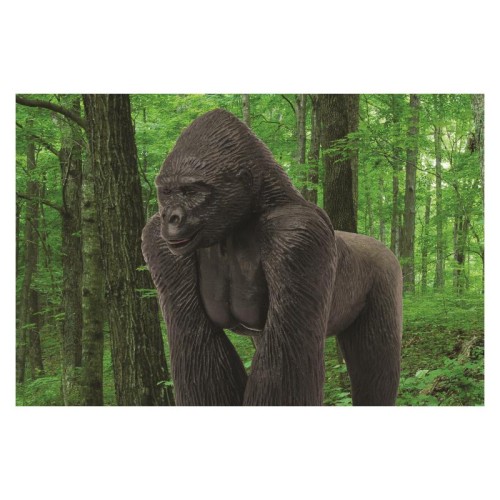 Об'ємні анатомічні моделі Об`ємна модель 4D Master Горила