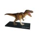 Об'ємні анатомічні моделі Об`ємна модель 4D Master Тиранозавр