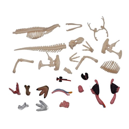 Об'ємні анатомічні моделі Об`ємна модель 4D Master Тиранозавр