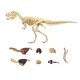 Об'ємні анатомічні моделі Об`ємна модель 4D Master Тиранозавр