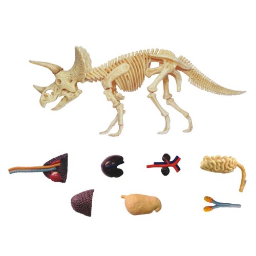 Об'ємні анатомічні моделі Об`ємна модель 4D Master Трицератопс