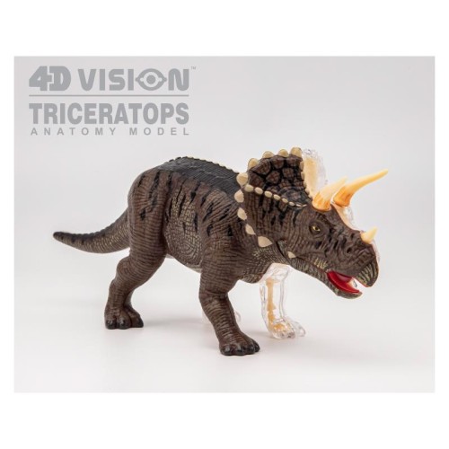 Об'ємні анатомічні моделі Об`ємна модель 4D Master Трицератопс