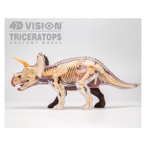 Об'ємні анатомічні моделі Об`ємна модель 4D Master Трицератопс
