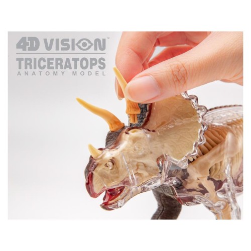 Об'ємні анатомічні моделі Об`ємна модель 4D Master Трицератопс