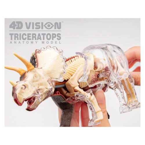 Об'ємні анатомічні моделі Об`ємна модель 4D Master Трицератопс