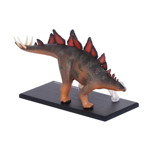 Об'ємні анатомічні моделі Об`ємна модель 4D Master Стегозавр