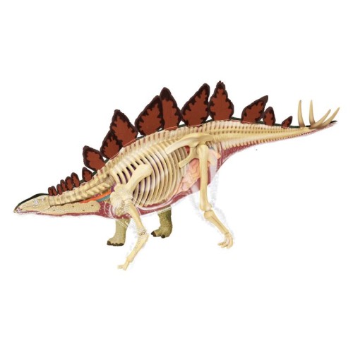 Об'ємні анатомічні моделі Об`ємна модель 4D Master Стегозавр